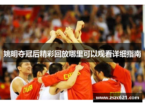姚明夺冠后精彩回放哪里可以观看详细指南