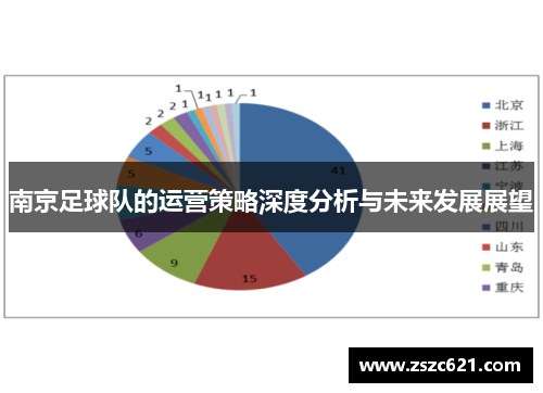 南京足球队的运营策略深度分析与未来发展展望