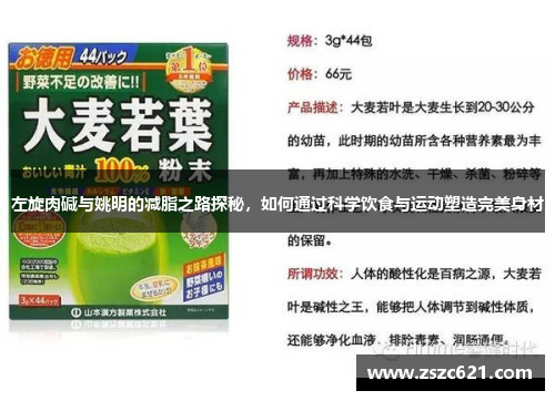 左旋肉碱与姚明的减脂之路探秘，如何通过科学饮食与运动塑造完美身材